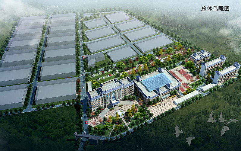 市政道路工程監理工作舉措,都可以從哪些層面分析